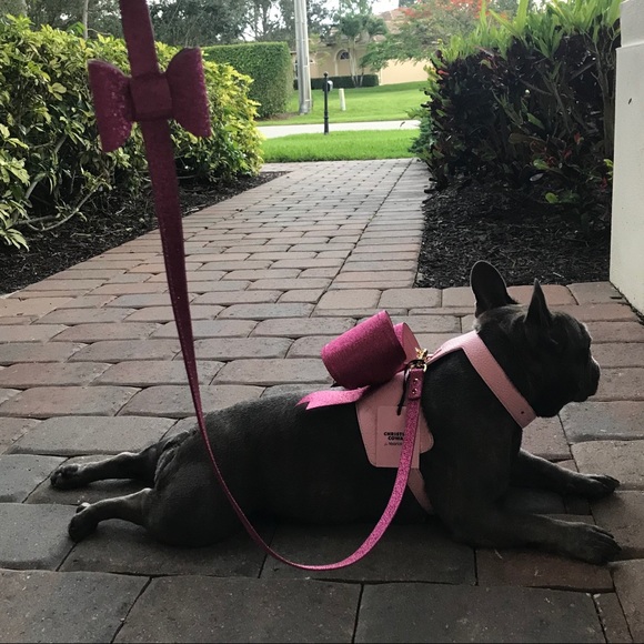 MOSHIQA Christian Cowan Pink Glitter Dog Harness - Picture 4 of 16